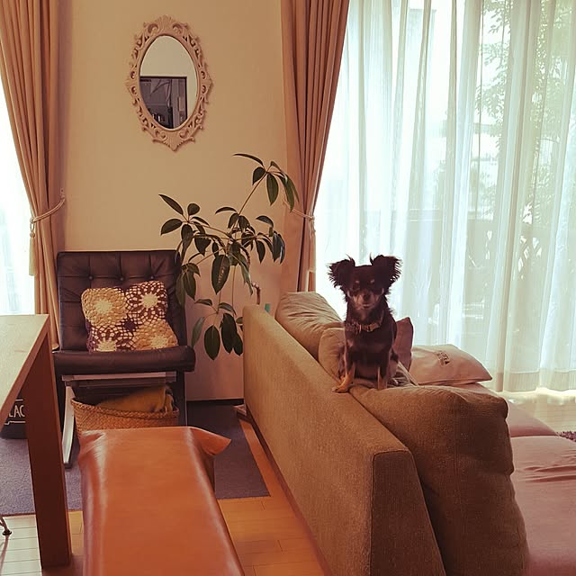 mappyさんの実例写真