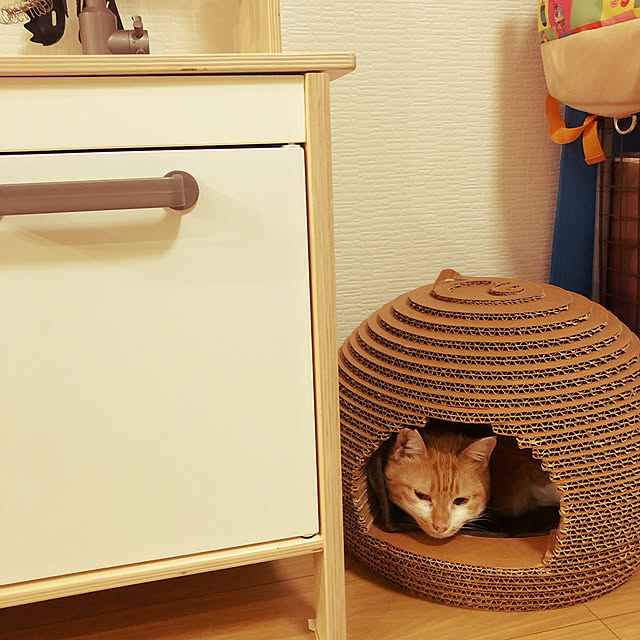 magoさんの実例写真