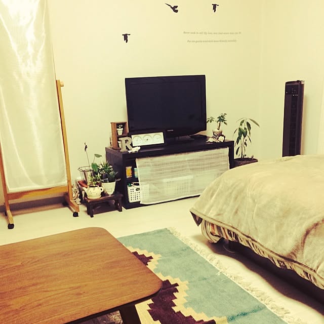 部屋全体/一人暮らし/賃貸/観葉植物のインテリア実例 - 2014-10-20 19:48:34