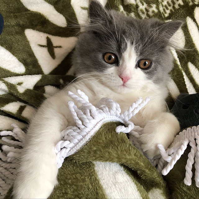 kana0818さんの実例写真