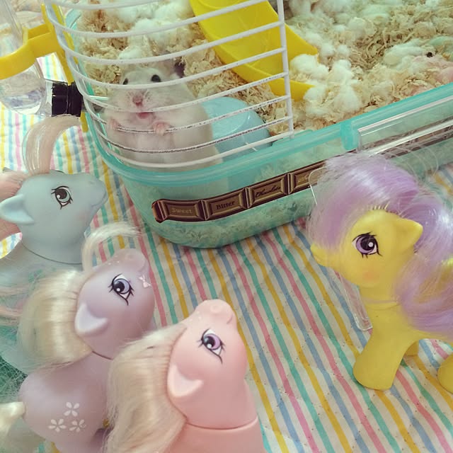 ribbonさんの実例写真