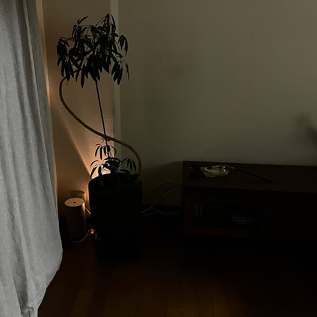 meyusaさんの部屋