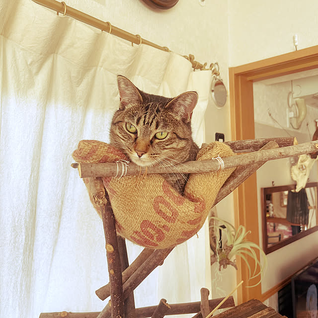 Mさんの実例写真