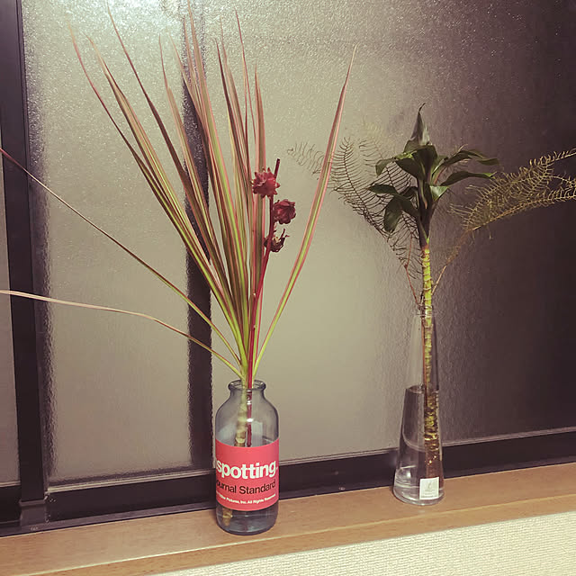 Ayaさんの実例写真