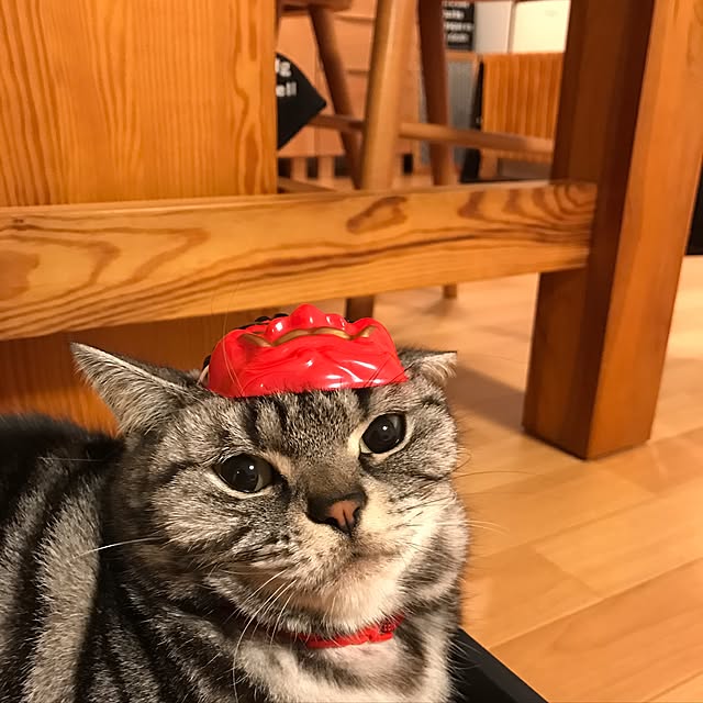 hiyupan88さんの実例写真