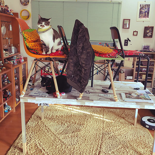 jijiさんの実例写真