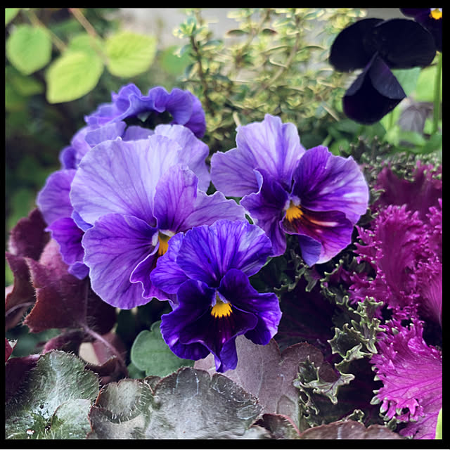yukarin-gardenさんの実例写真