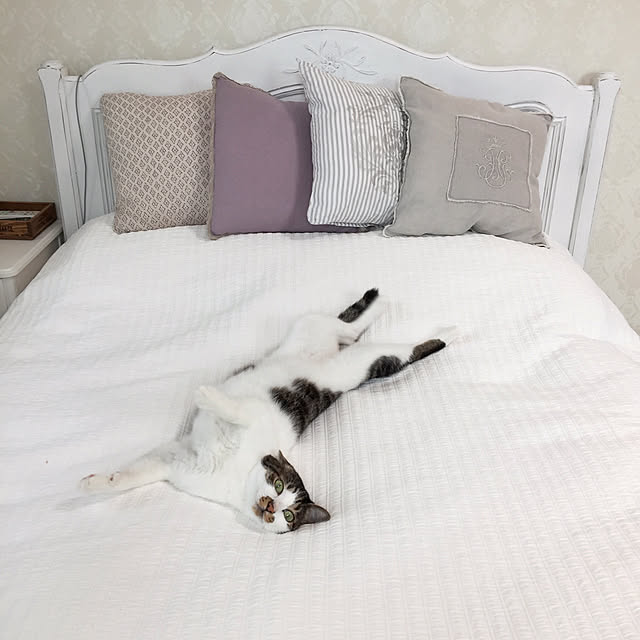 yuchiさんの実例写真