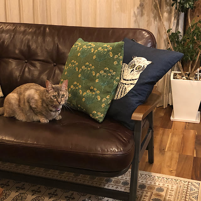 PU930さんの実例写真
