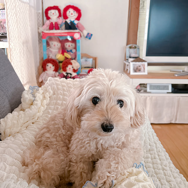 hama1219さんの部屋