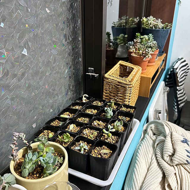 eriさんの実例写真