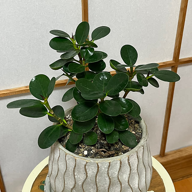 myahanさんの部屋