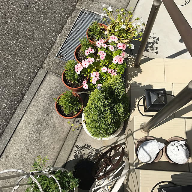 MIUさんの実例写真