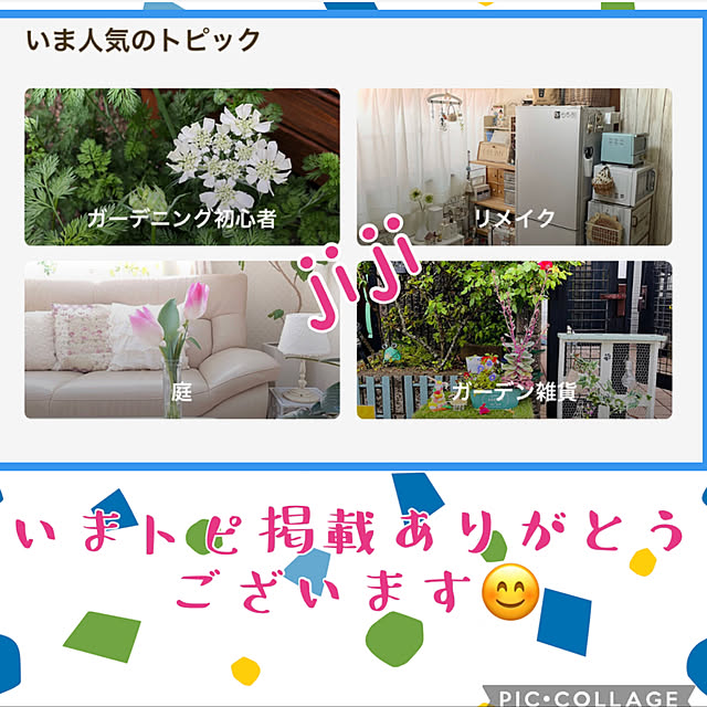jijiさんの実例写真