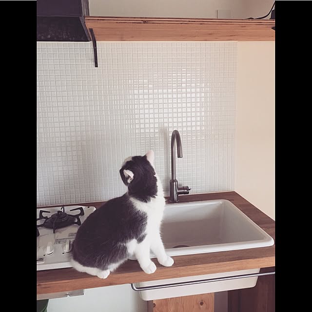 yunさんの実例写真