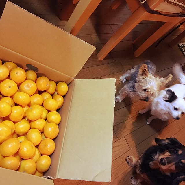 ohanaさんの実例写真