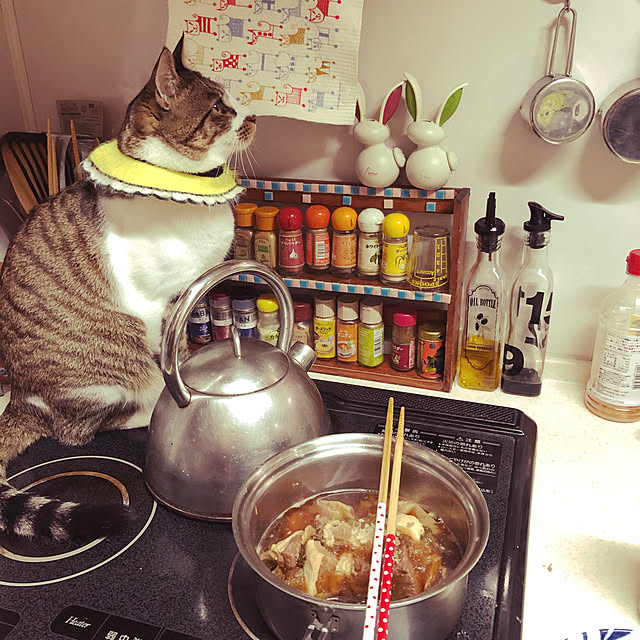 jijiさんの実例写真