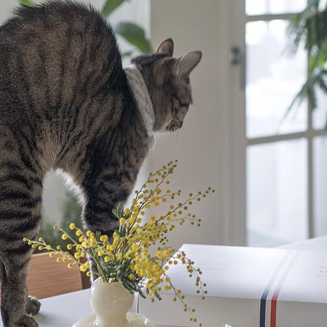 oliveさんの部屋