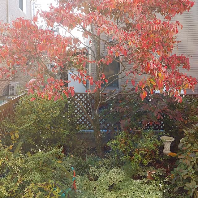 Hujikoさんの部屋