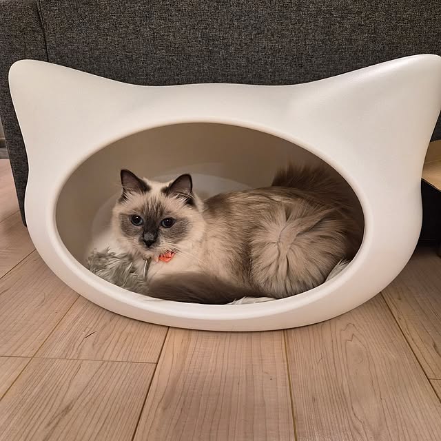 mayu.ariさんの実例写真