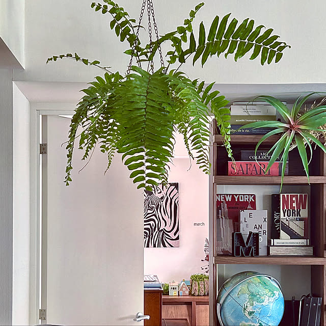 DAYONEさんの実例写真