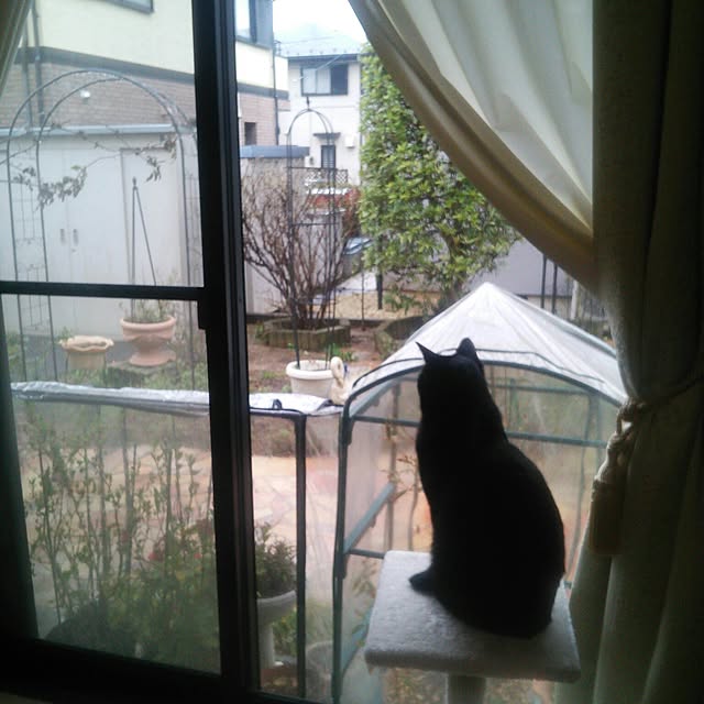 tomopさんの実例写真