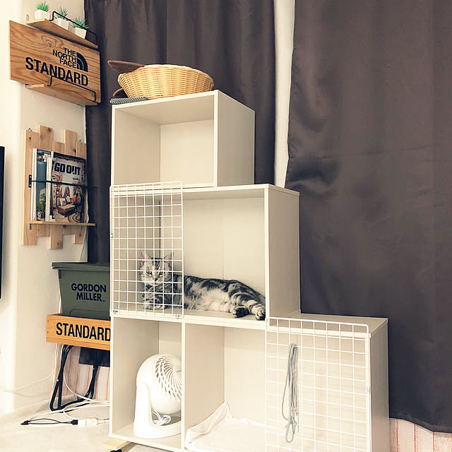NEKOARUKIさんの実例写真