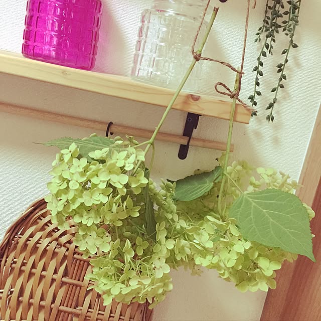 aikoさんの実例写真