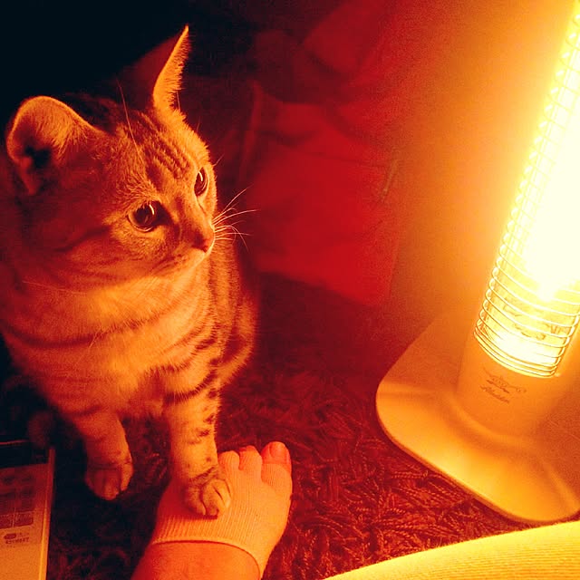 v-nsnsmanさんの実例写真