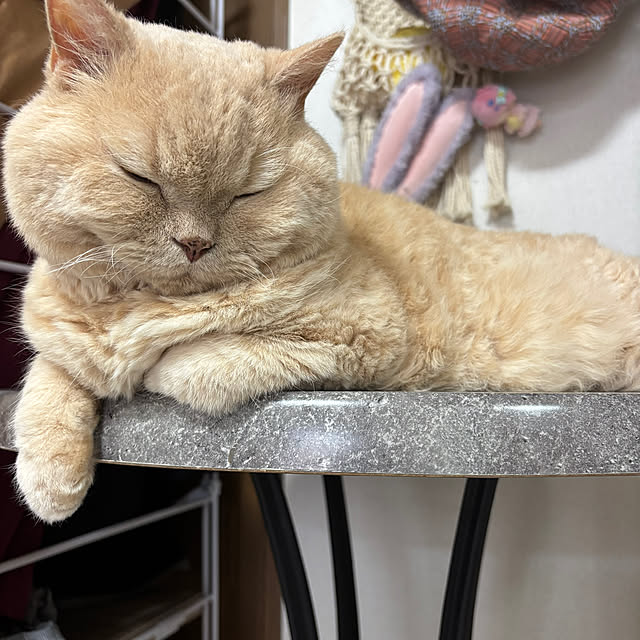 naokoさんの部屋