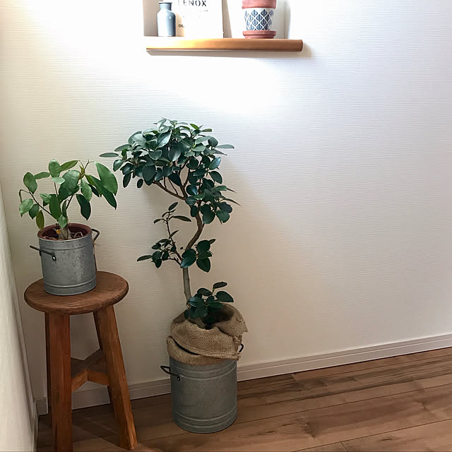 minaさんの実例写真