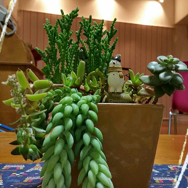 Yumiさんの実例写真