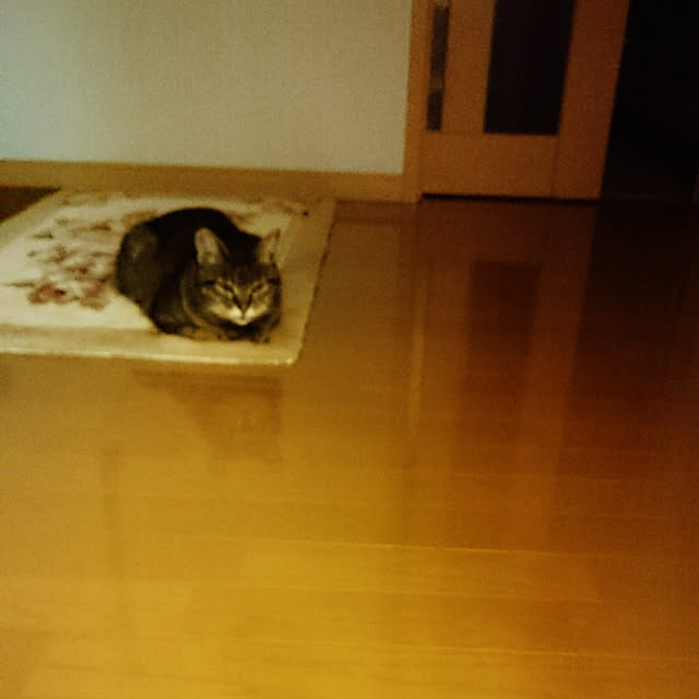 lilyさんの実例写真