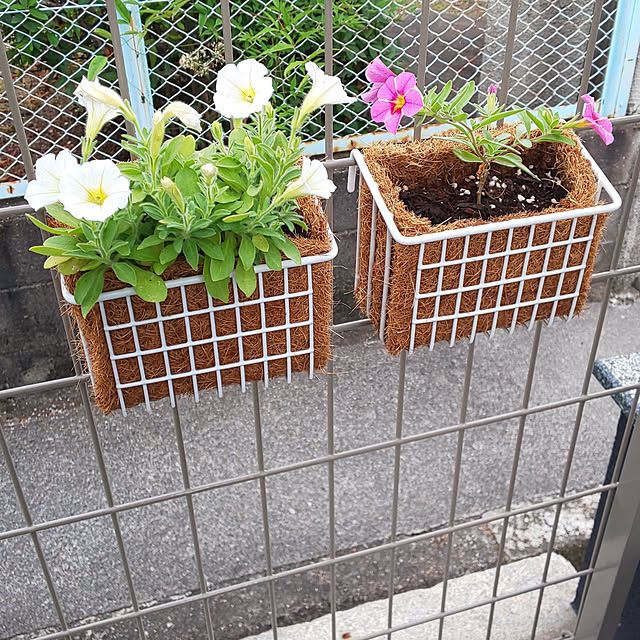 violetさんの実例写真
