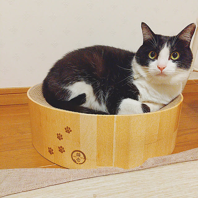 nikoさんの実例写真