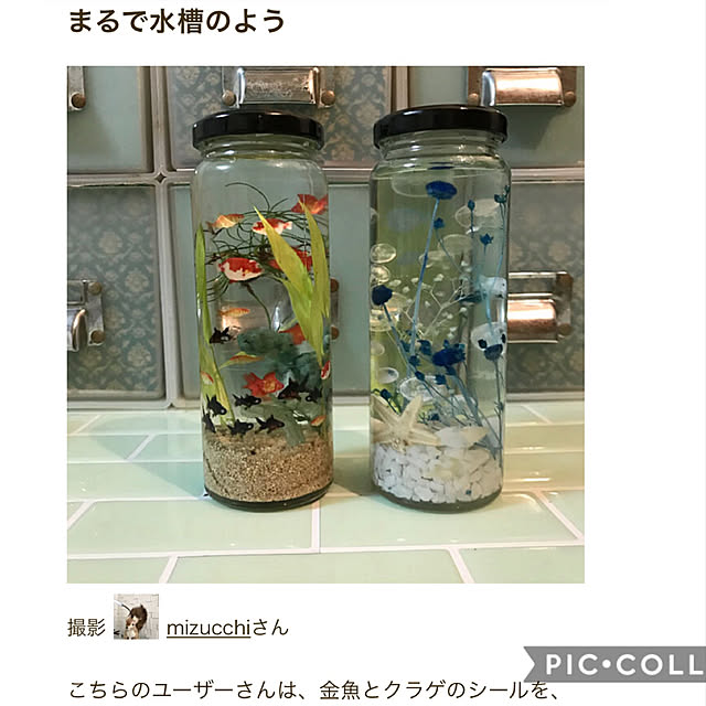 mizucchiさんの実例写真