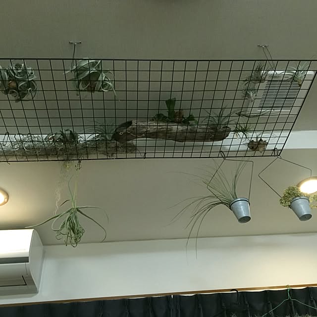 Yutaさんの実例写真