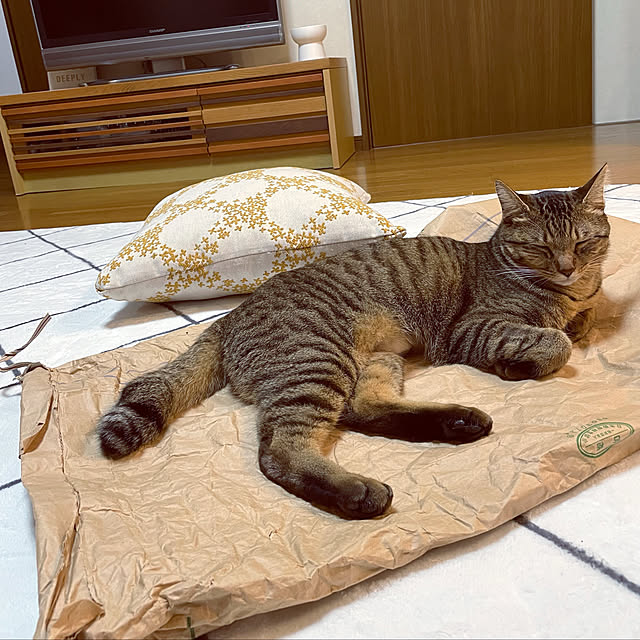 chiitanさんの実例写真