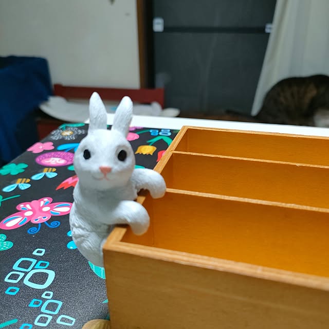 mori_6_12さんの部屋