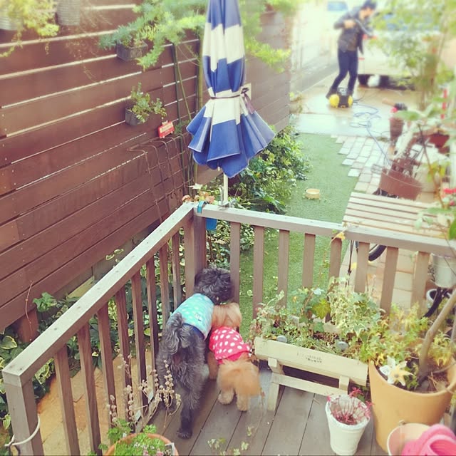 risaさんの実例写真