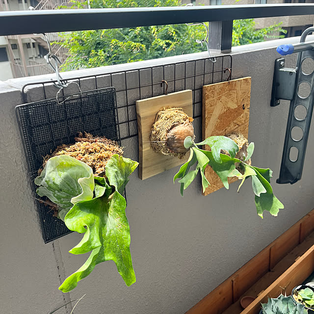 yukiさんの部屋