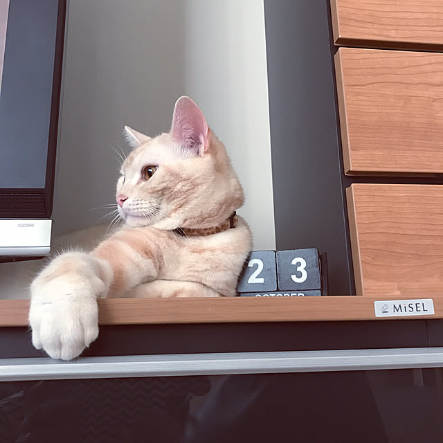 hiyupan88さんの実例写真
