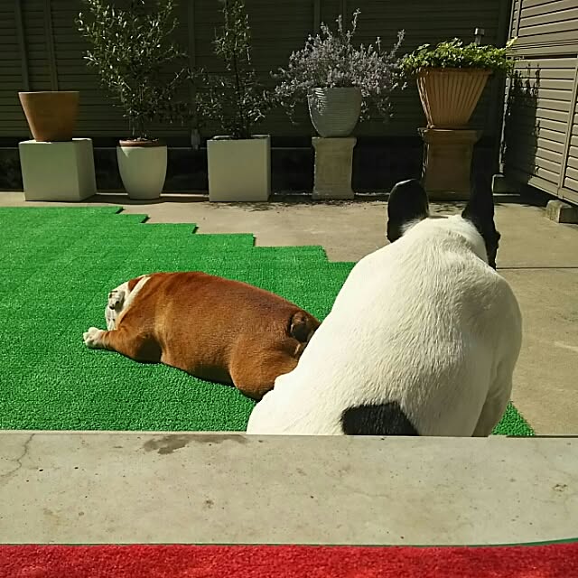 AandPさんの実例写真