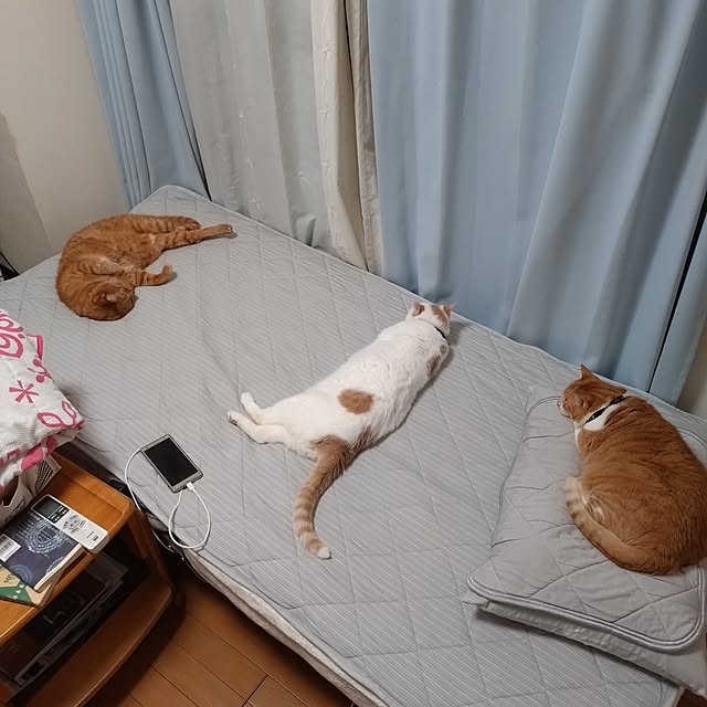 NOAHさんの部屋