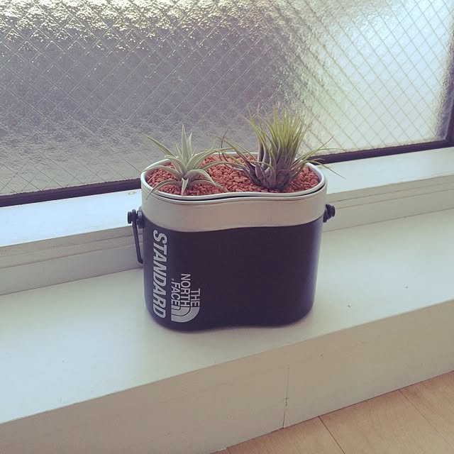 ALISAさんの実例写真