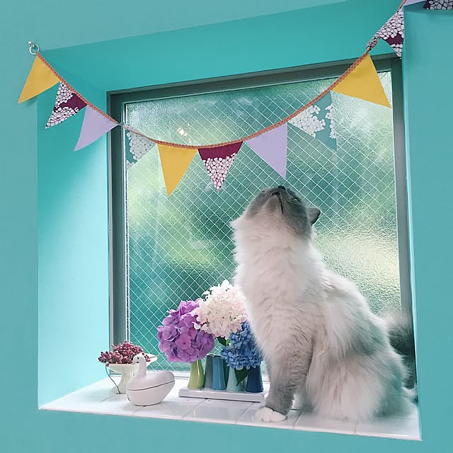 mikanarlさんの実例写真