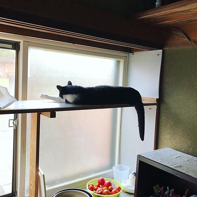 chobihigeさんの実例写真
