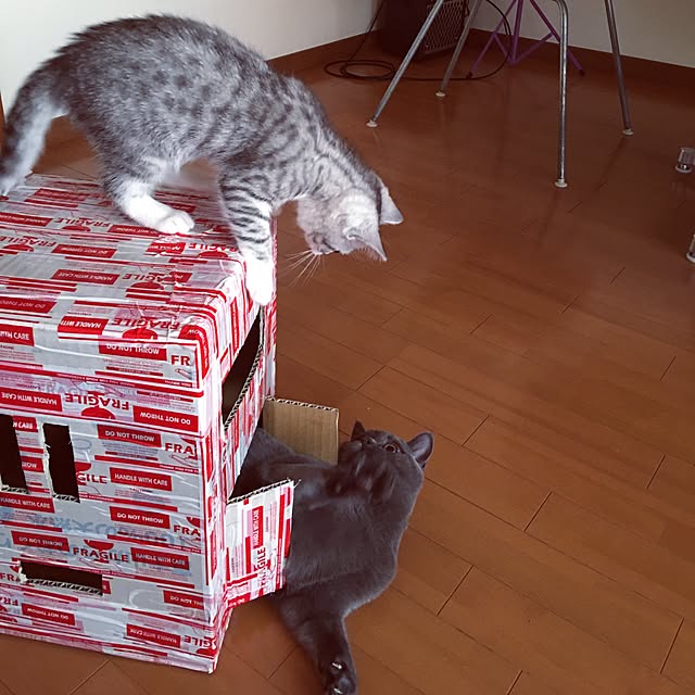 Shojiさんの実例写真