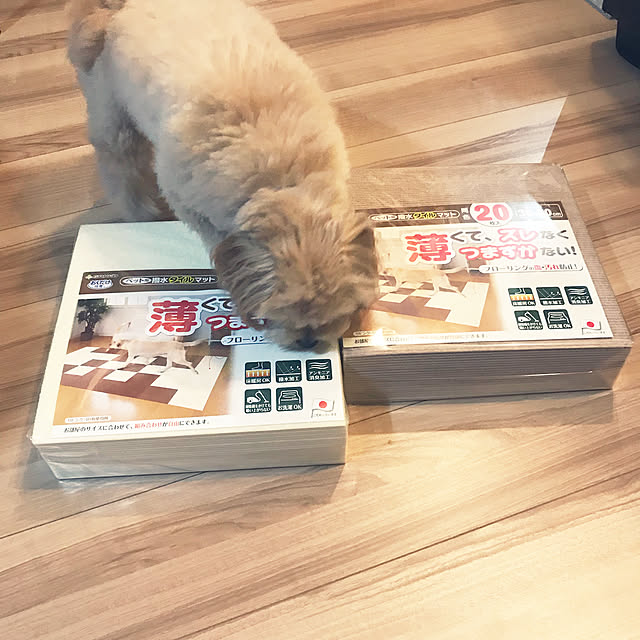 ikt.tamaさんの実例写真