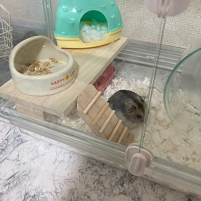 yumさんの実例写真
